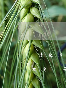 兒子使用父親信用卡逾期(父親欠銀行信用卡需要兒子還嗎)
