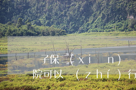 兒子保險(xiǎn)產(chǎn)品法院可以執(zhí)行嗎(保險(xiǎn)法院能強(qiáng)制執(zhí)行嗎)