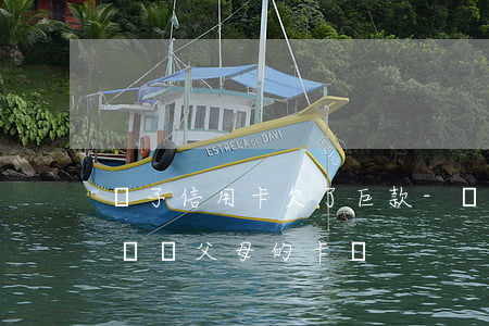 兒子信用卡欠了巨款-兒子欠信用卡的錢會凍結父母的卡嗎