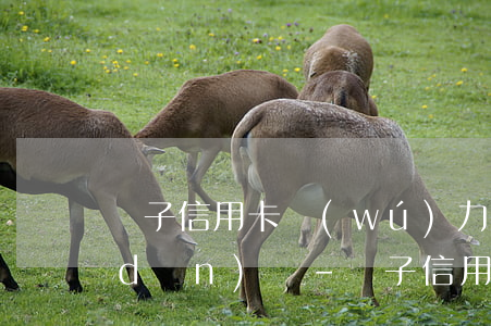 兒子信用卡無(wú)力償還母親要承擔(dān)嗎-兒子信用卡無(wú)力償還母親要承擔(dān)嗎怎么辦