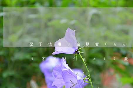 兒子信用卡逾期會(huì)凍結(jié)家屬財(cái)產(chǎn)嗎-兒子信用卡逾期會(huì)凍結(jié)家屬財(cái)產(chǎn)嗎知乎