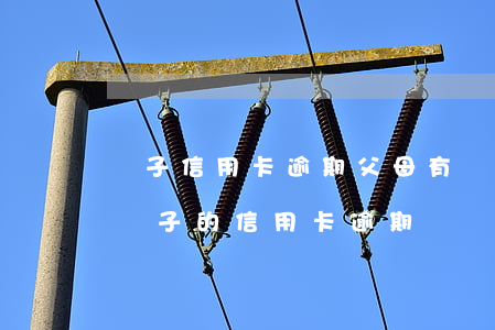 兒子信用卡逾期父母有義務(wù)還么-兒子的信用卡逾期會凍結(jié)父母的銀行卡嗎