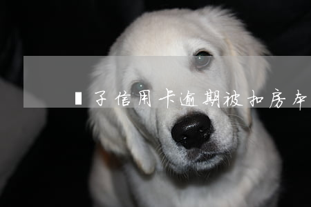 兒子信用卡逾期被扣房本怎么辦