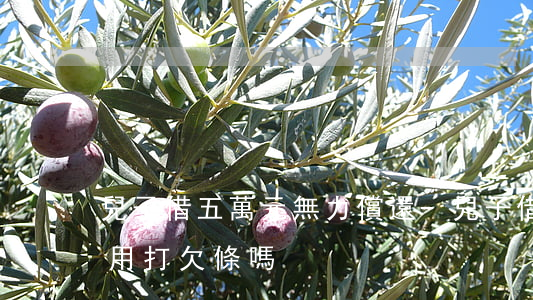 兒子借五萬元無力償還-兒子借母親5萬元用打欠條嗎