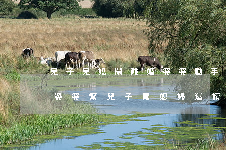 兒子兒媳鬧離婚婆婆動手打兒媳(和老公吵架婆婆幫兒子罵媳婦還讓離婚)