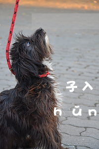 兒子入贅父母離婚準(zhǔn)不準(zhǔn)(男方入贅孩子跟誰(shuí)姓)