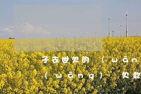 兒子去世欠的網(wǎng)貸父母要還嗎(網(wǎng)貸欠款人死亡父母需要還嗎)