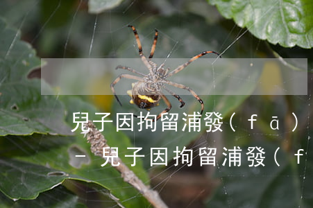 兒子因拘留浦發(fā)信用卡逾期怎么辦-兒子因拘留浦發(fā)信用卡逾期怎么辦理