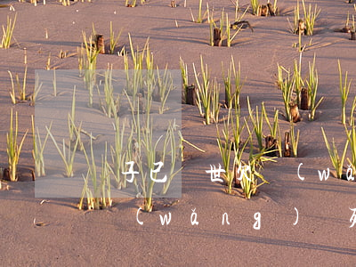 兒子已過世欠網(wǎng)貸案例(兒子欠網(wǎng)貸死亡了還用還嗎)