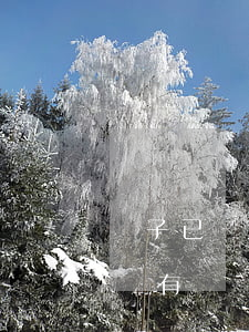 兒子已過世欠網(wǎng)貸父母要還嗎沒有遺產(chǎn)-兒子已過世欠網(wǎng)貸父母要還嗎沒有遺產(chǎn)怎么辦