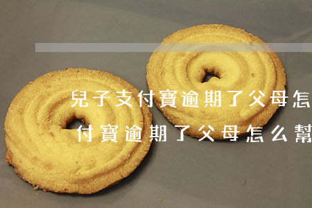 兒子支付寶逾期了父母怎么幫忙還-兒子支付寶逾期了父母怎么幫忙還款