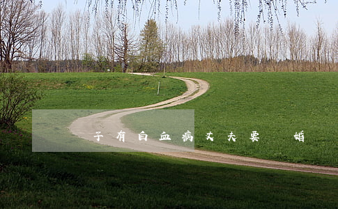 兒子有白血病丈夫要離婚