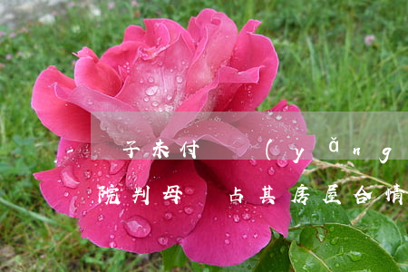 兒子未付贍養(yǎng)費(fèi)，法院判母親占其房屋合情理