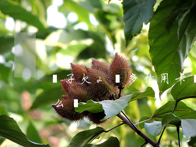 兒子欠2萬多信用卡 兒子欠2萬多信用卡怎么辦