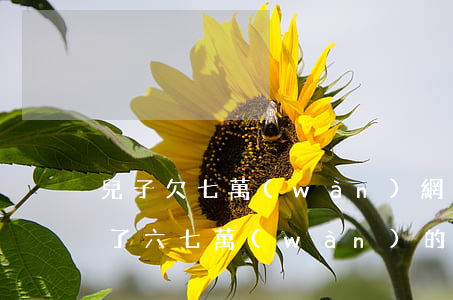 兒子欠七萬(wàn)網(wǎng)貸(欠了六七萬(wàn)的網(wǎng)貸怎么辦)