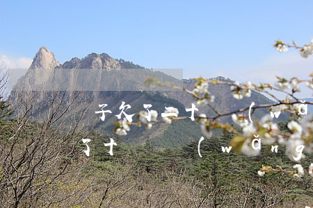 兒子欠了二十萬網(wǎng)貸怎么辦(欠了十幾萬網(wǎng)貸怎么辦)
