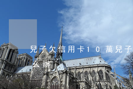 兒子欠信用卡10萬 兒子欠信用卡10萬怎么辦