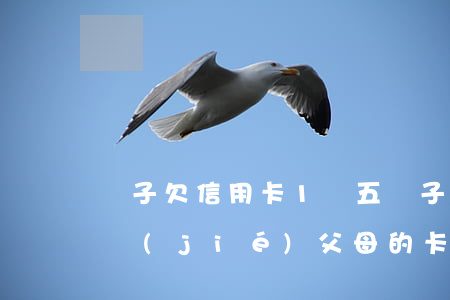 兒子欠信用卡1萬五(兒子欠信用卡的錢會凍結(jié)父母的卡嗎)