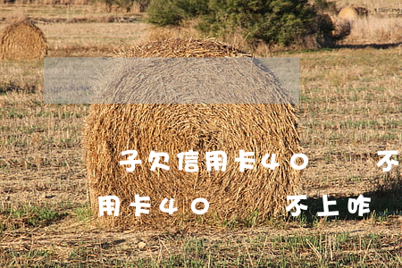 兒子欠信用卡40萬還不上咋辦-兒子欠信用卡40萬還不上咋辦呢