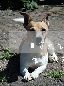 兒子欠信用卡不見(jiàn)父母 兒子欠信用卡不見(jiàn)父母該怎么辦