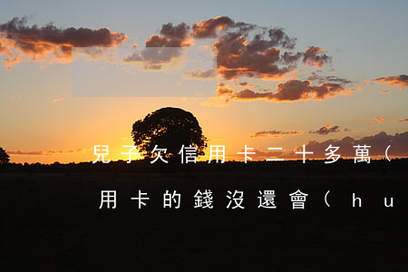 兒子欠信用卡二十多萬(wàn)(兒子欠信用卡的錢沒還會(huì)影響父母嗎)
