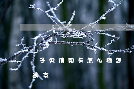 兒子欠信用卡怎么查(怎樣查兒子信用卡是否透支)