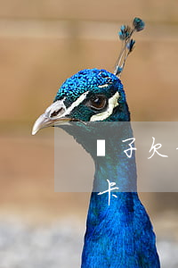 兒子欠信用卡找媽媽(兒子欠了很多外債信用卡)