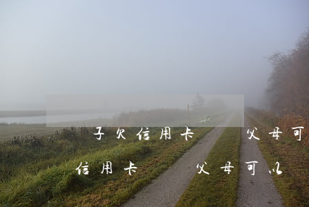 兒子欠信用卡沒還父母可以貸款嗎-兒子欠信用卡沒還父母可以貸款嗎知乎