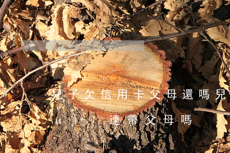 兒子欠信用卡父母還嗎 兒子欠信用卡會(huì)連帶父母嗎