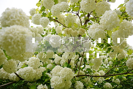 兒子欠信用卡父親還債(兒子欠信用卡的錢會(huì)凍結(jié)父母的卡嗎)