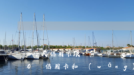 兒子欠信用卡跟網(wǎng)貸(欠了170萬信用卡和網(wǎng)貸)