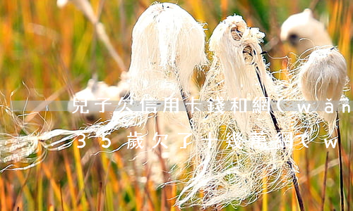 兒子欠信用卡錢和網(wǎng)貸35萬(35歲欠了十幾萬網(wǎng)貸信用卡)