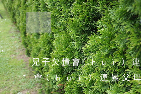 兒子欠債會(huì)連累父母嗎(兒子欠債會(huì)連累父母嗎知乎)