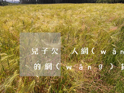兒子欠別人網(wǎng)貸需要還嗎(我欠的網(wǎng)貸會讓家里人還嗎)