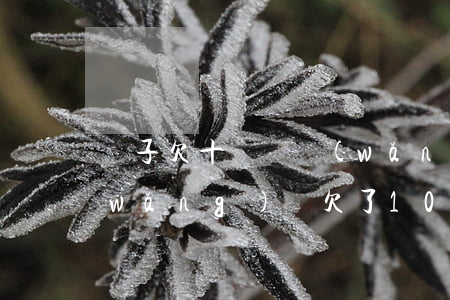 兒子欠十幾萬網(wǎng)貸怎么辦(網(wǎng)貸欠了10幾萬怎么辦)