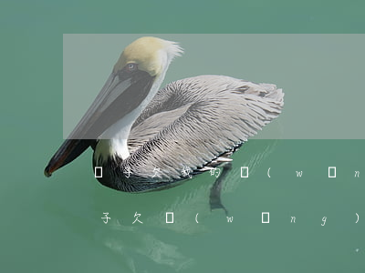 兒子欠我的網(wǎng)貸還了怎么辦(兒子欠網(wǎng)貸還不上怎么辦)