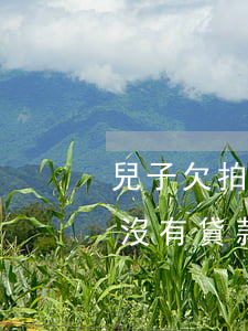 兒子欠拍拍貸的錢(拍拍貸說我欠錢了,可是我沒有貸款怎么辦)