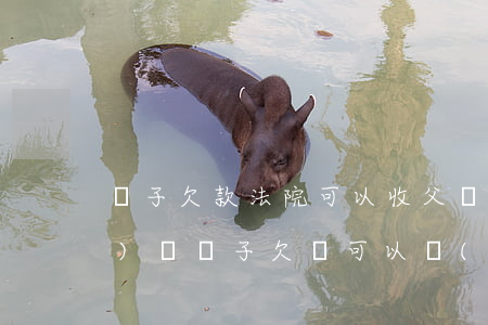 兒子欠款法院可以收父親的房產(chǎn)嗎(兒子欠錢可以執(zhí)行父親名下的財產(chǎn)嗎)