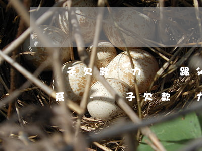 兒子欠款無力償還跟父母有關(guān)系嗎-兒子欠款無力償還跟父母有關(guān)系嗎怎么辦