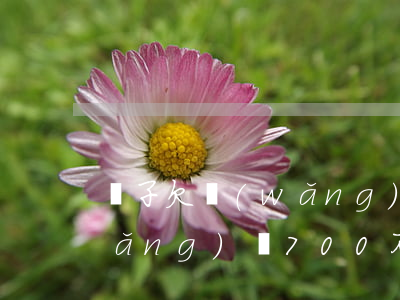 兒子欠網(wǎng)貸700多(欠網(wǎng)貸700不還會(huì)怎么樣)