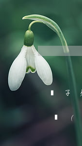 兒子欠網(wǎng)貸七十多萬(欠了七萬網(wǎng)貸)