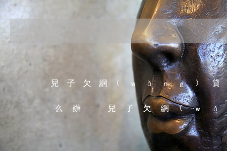 兒子欠網(wǎng)貸和銀行20幾萬怎么辦-兒子欠網(wǎng)貸和銀行20幾萬怎么辦呢