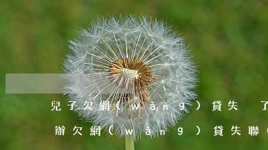 兒子欠網(wǎng)貸失蹤了債主會怎么辦(欠網(wǎng)貸失聯(lián)后果)