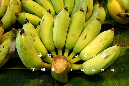 兒子欠網(wǎng)貸家里人氣死(家人欠了很多網(wǎng)貸)