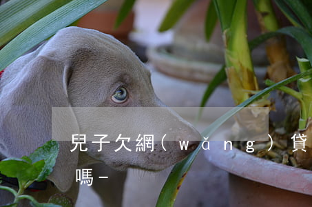 兒子欠網(wǎng)貸幾十萬父親幫他還嗎-