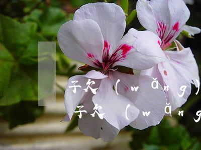 兒子欠網(wǎng)貸怎么避免騷擾父母(兒子欠網(wǎng)貸怎么避免騷擾父母)