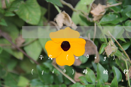 兒子欠網(wǎng)貸會(huì)凍結(jié)母親的銀行卡嗎-兒子欠網(wǎng)貸會(huì)凍結(jié)母親的銀行卡嗎知乎