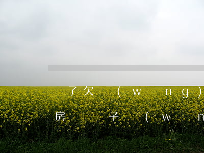 兒子欠網(wǎng)貸會影響父親貸款買房嗎(兒子網(wǎng)貸逾期會影響老爸辦房貸嗎)