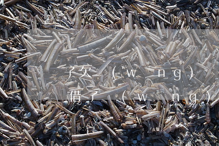 兒子欠網(wǎng)貸死亡了父母需要還嗎(借了網(wǎng)貸死了父母要還嗎)