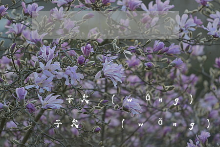 兒子欠網(wǎng)貸父母必須要還嗎(孩子欠債網(wǎng)貸,父母咋辦)